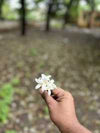 hand
