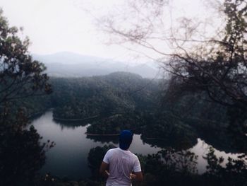 Rear view of man in forest