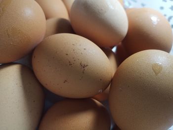 Close-up of eggs