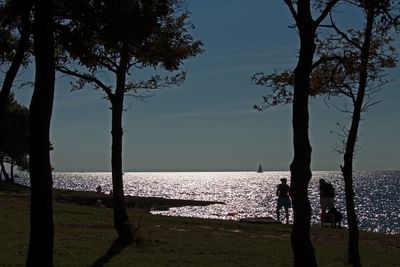 Silhouette trees on beach against sky