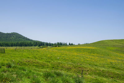 Scenic view of landscape against clear sky