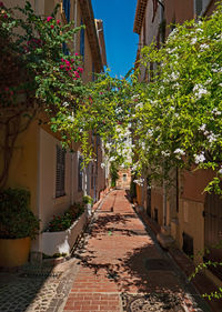 Alley amidst buildings in city