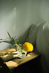 Close-up of yellow flower