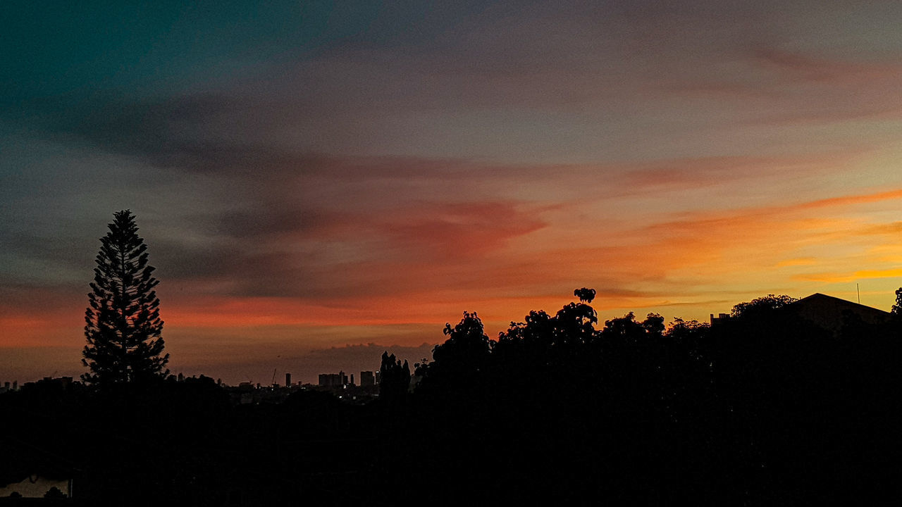 SILHOUETTE TREES AGAINST ORANGE SKY