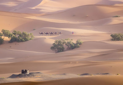 Scenic view of desert against sky during sunset