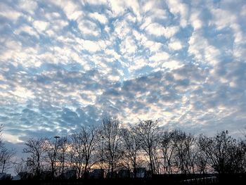 Low angle view of silhouette trees against sky at sunset