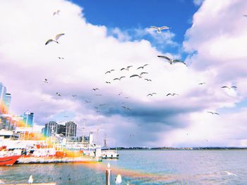 Flock of birds flying over sea