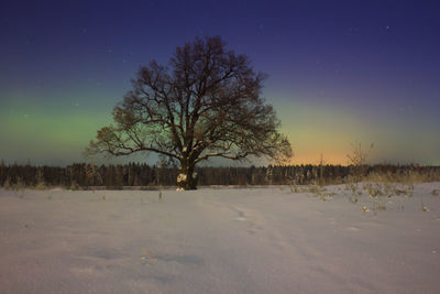 Bare tree on landscape against sky at night