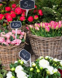 Flowers growing in basket at market stall