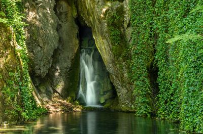 Scenic view of waterfall in forest