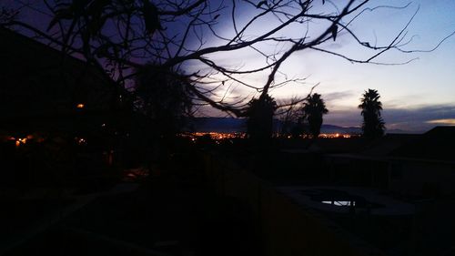 Bare trees against sky at dusk