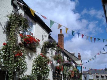 Bunting flags by houses against sky