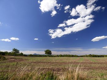 Scenic view of field against cloudy sky