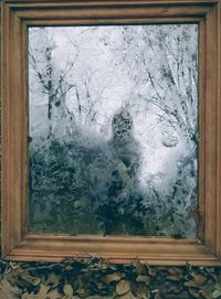 Close-up of snow on glass window