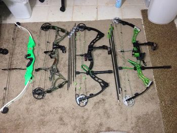Close-up of tree against blue sky