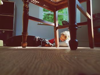 Girl looking at dog lying on floor