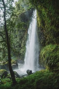 Scenic waterfall in the forest, aberdare ranges, kenya