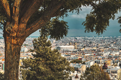 Trees and cityscape against sky