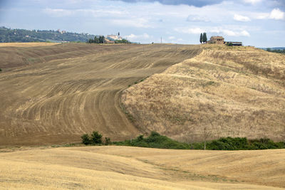 Scenic view of agricultural field against sky