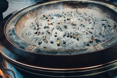 High angle view of fish in container