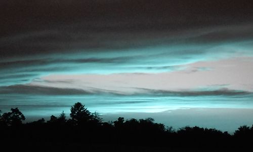 Silhouette of trees against cloudy sky