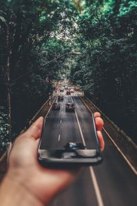 Person holding umbrella on road in forest