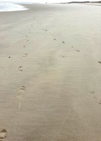 High angle view of footprints on beach