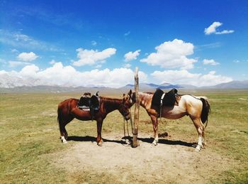 Horses on field against sky