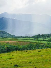 Scenic view of field against sky