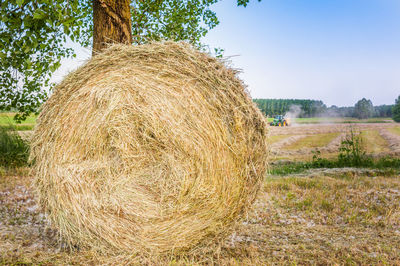 Hay bales on field