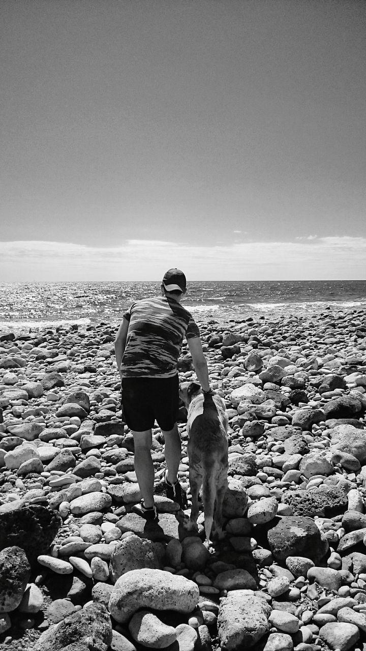 VIEW OF DOG ON ROCK IN SEA