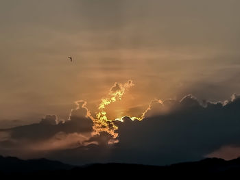 Low angle view of silhouette birds against sky during sunset