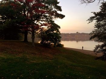 View of trees by the lake