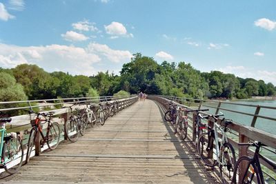 Footbridge over trees against sky