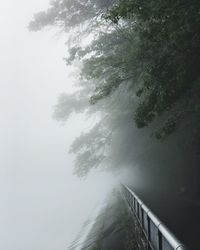 Road by trees against sky during foggy weather