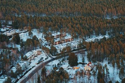 High angle view of trees on snow covered landscape