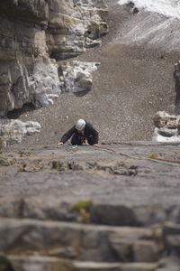 View of birds on rock