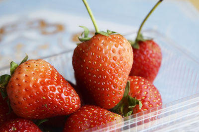Close-up of strawberries in containers