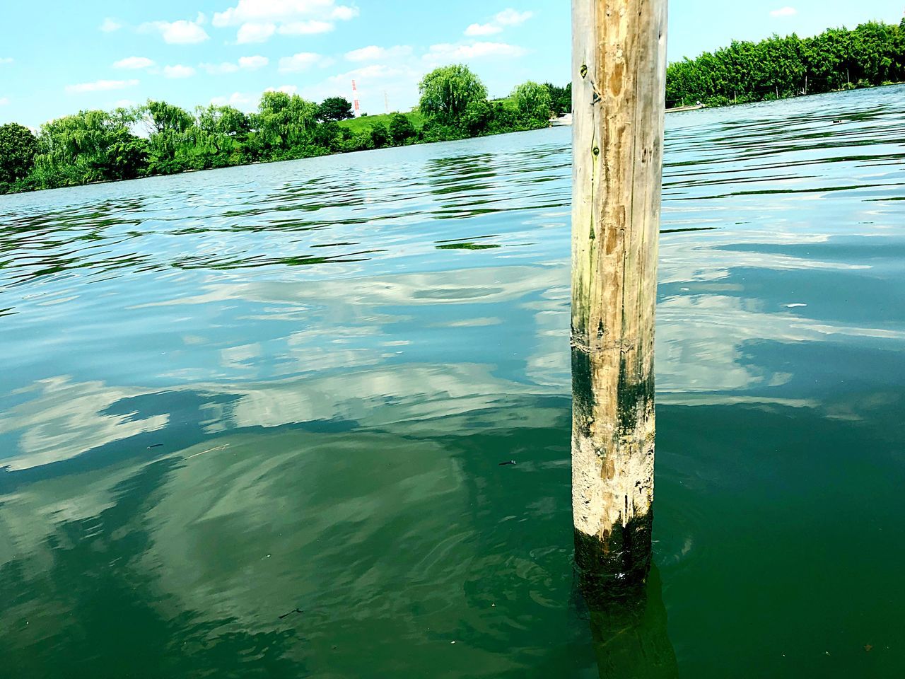 water, tree, plant, day, nature, no people, wood - material, waterfront, tranquility, outdoors, scenics - nature, beauty in nature, lake, green color, sky, reflection, tranquil scene, cloud - sky, post, wooden post, turquoise colored