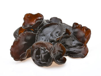 Close-up of chocolate cake against white background