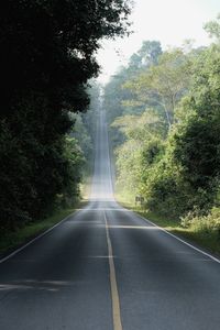 Empty road amidst trees