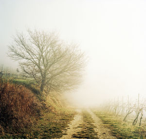 Dirt road amidst field against sky