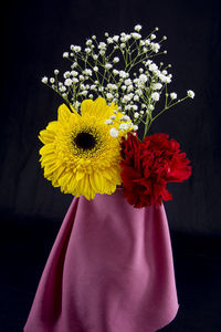 Close-up of daisy flower against black background