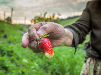 Midsection of man holding fruit on field