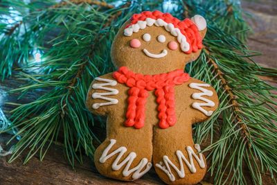 Close-up of christmas decorations on tree. ginger bread cookie 