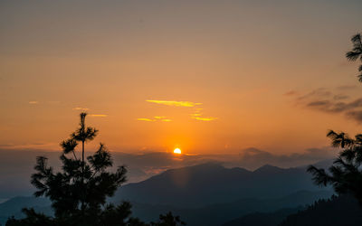 Low angle view of silhouette trees against sky during sunset