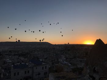 Flock of birds flying over buildings in city