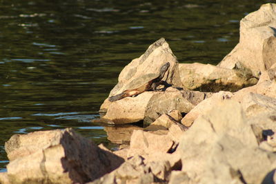 Rocks by lake