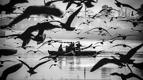 Silhouette birds flying by tree against sky