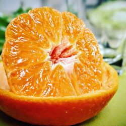 Close-up of orange slice